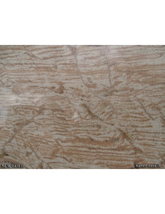 Printed Summer Dress