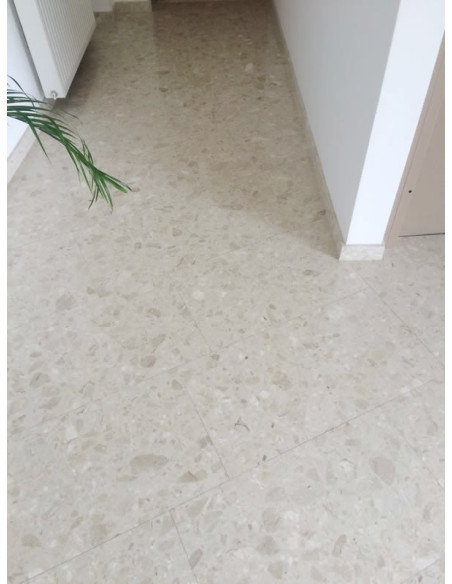 Printed Chiffon Dress