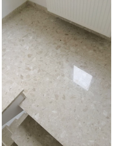 Printed Chiffon Dress