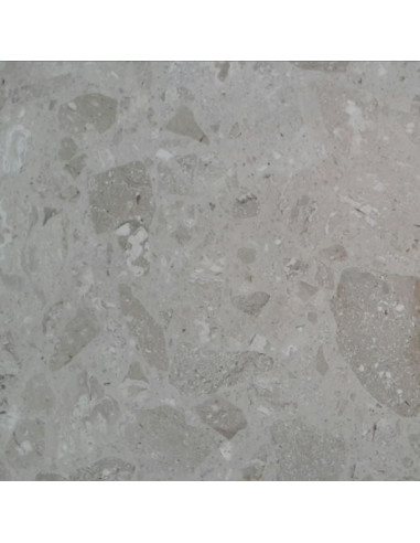 Printed Chiffon Dress