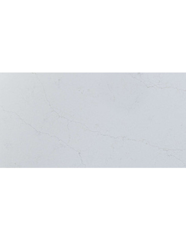 Muse - siva sa zlatnom