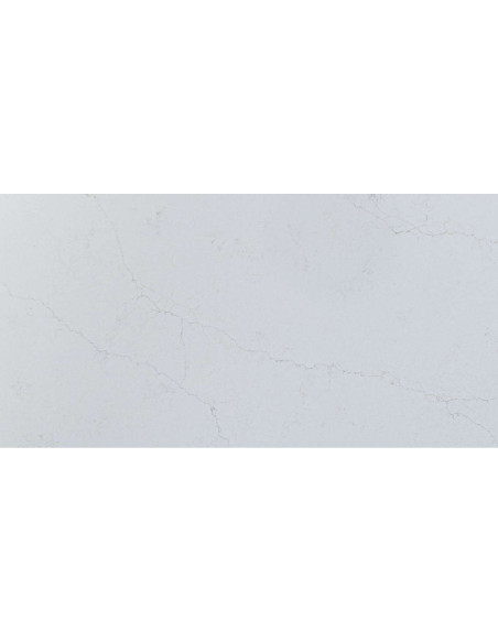 Muse - siva sa zlatnom