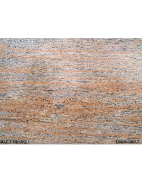 Printed Summer Dress